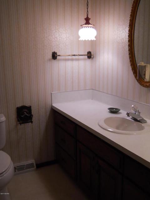 8732 Godfrey St, Belding, MI 48809 photo 15
