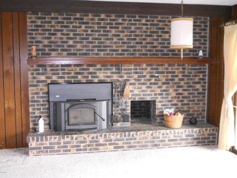 8732 Godfrey St, Belding, MI 48809 photo 8