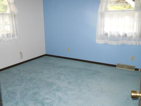 8732 Godfrey St, Belding, MI 48809 photo 13