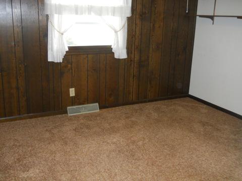 8732 Godfrey St, Belding, MI 48809 photo 14