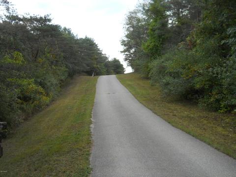 8732 Godfrey St, Belding, MI 48809 photo 2