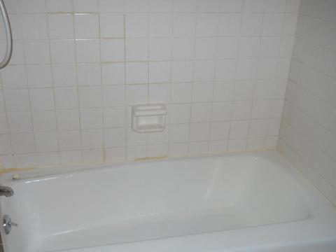 8732 Godfrey St, Belding, MI 48809 photo 16