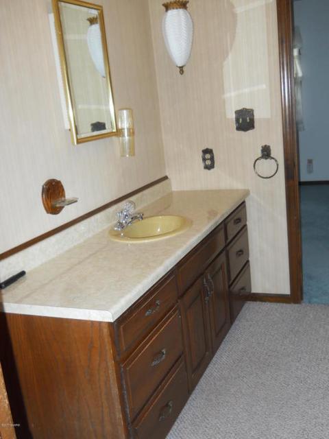 8732 Godfrey St, Belding, MI 48809 photo 17