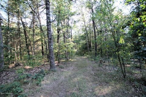 5960 E 48th, Newaygo, MI 49337 photo 24