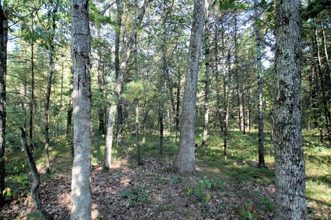 5960 E 48th, Newaygo, MI 49337 photo 23