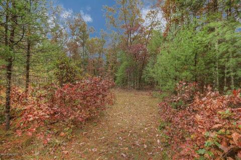5960 E 48th, Newaygo, MI 49337 photo 31