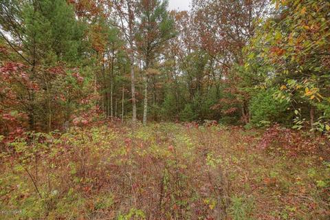 5960 E 48th, Newaygo, MI 49337 photo 30