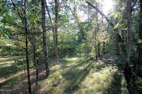 5960 E 48th, Newaygo, MI 49337 photo 26