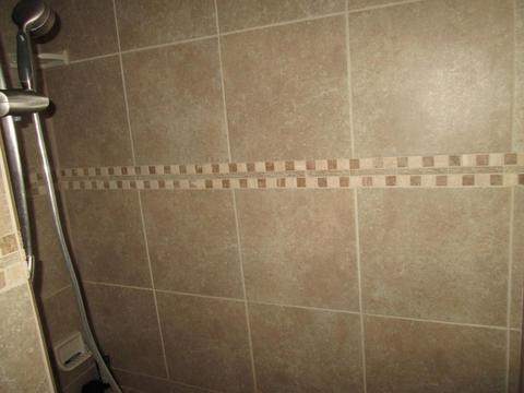 405 E Main, Centreville, MI 49032 photo 15
