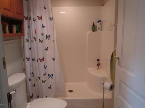 405 E Main, Centreville, MI 49032 photo 18
