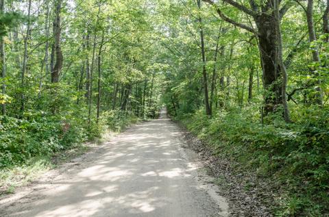 160 Th Ave, Morley, MI 49336 photo 2
