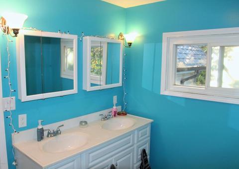 224 E Capital Ave, Bellevue, MI 49021 photo 13
