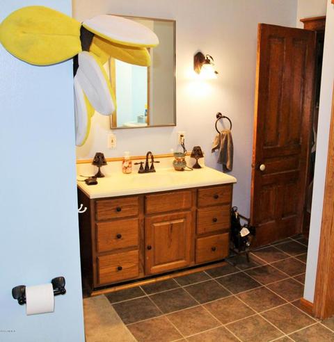 224 E Capital Ave, Bellevue, MI 49021 photo 14