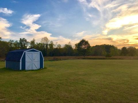 12545 4 Mile Rd, Evart, MI 49631 photo 54