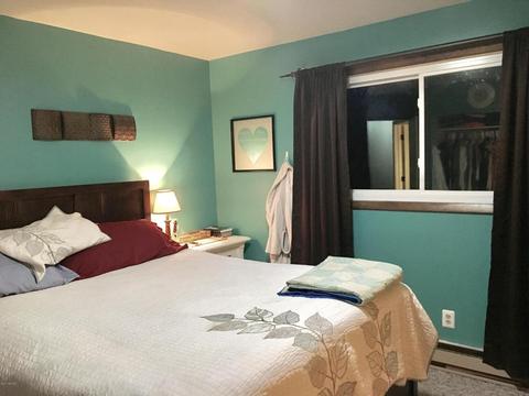 12545 4 Mile Rd, Evart, MI 49631 photo 39