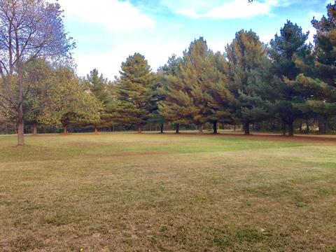 12545 4 Mile Rd, Evart, MI 49631 photo 57