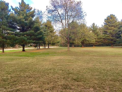 12545 4 Mile Rd, Evart, MI 49631 photo 56