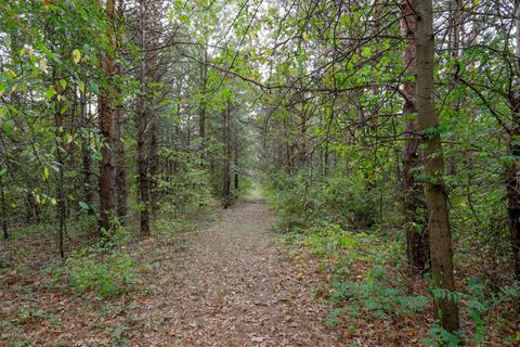 52640 Johnson Rd, Three Rivers, MI 49093 photo 26