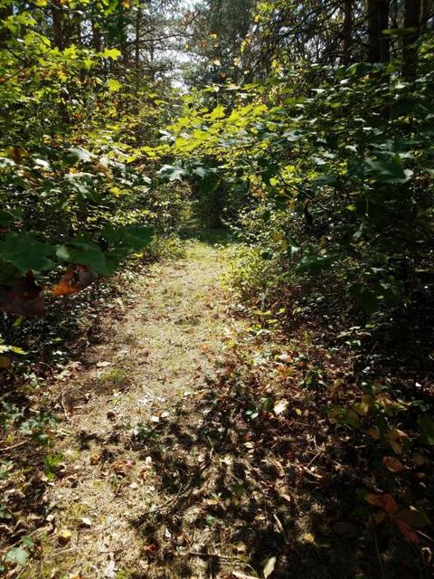 52640 Johnson Rd, Three Rivers, MI 49093 photo 38