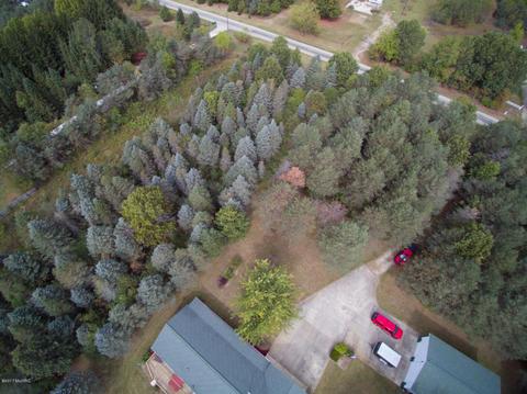 52640 Johnson Rd, Three Rivers, MI 49093 photo 35