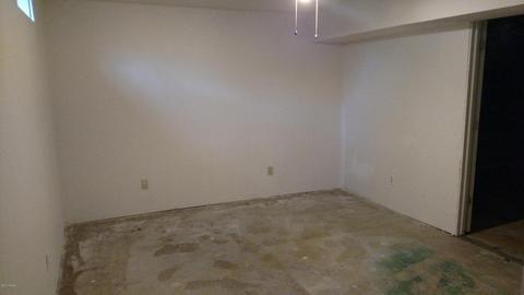 513 Isham St, Lyons, MI 48851 photo 28