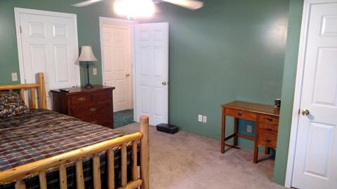513 Isham St, Lyons, MI 48851 photo 15