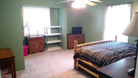 513 Isham St, Lyons, MI 48851 photo 14