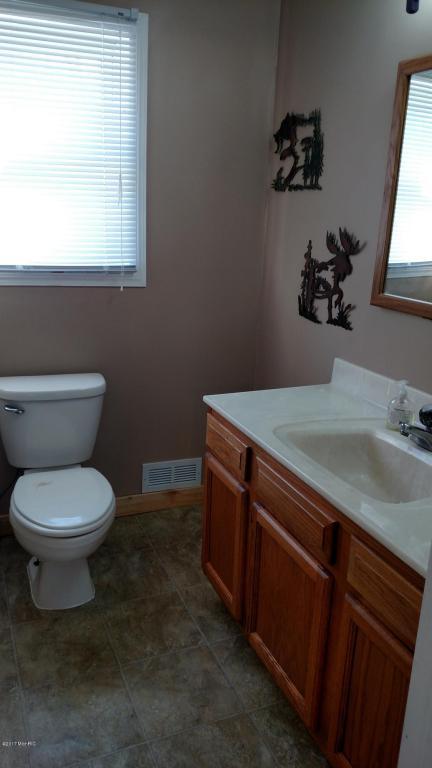 513 Isham St, Lyons, MI 48851 photo 26