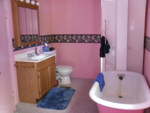 509 E Michigan, Reading, MI 49274 photo 19