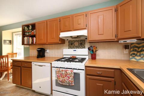 1141 Alderman St, Belding, MI 48809 photo 9