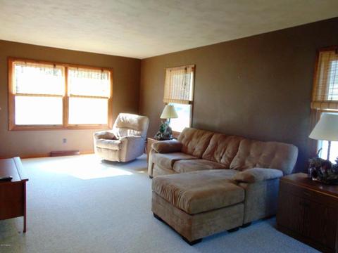220 Circle Dr, Marshall, MI 49068 photo 3