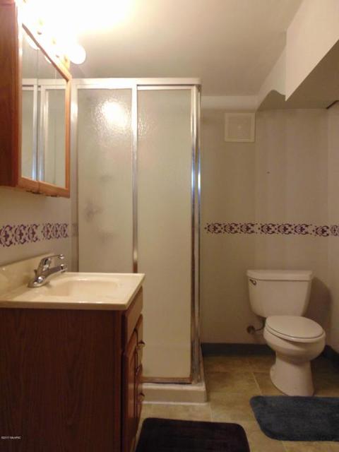 220 Circle Dr, Marshall, MI 49068 photo 20