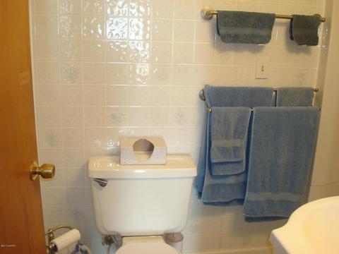 14536 E Merry Dr, Camden, MI 49232 photo 26