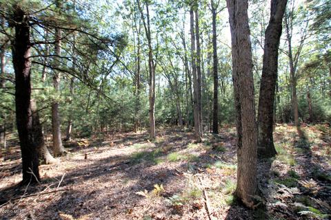 1564 E 40th St, White Cloud, MI 49349 photo 24
