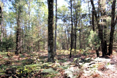 1564 E 40th St, White Cloud, MI 49349 photo 22