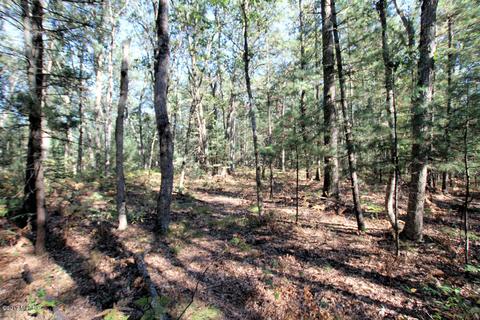 1564 E 40th St, White Cloud, MI 49349 photo 23