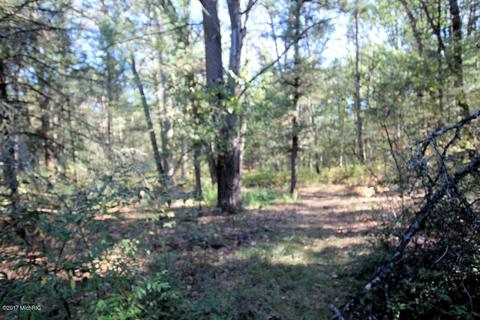 1564 E 40th St, White Cloud, MI 49349 photo 21