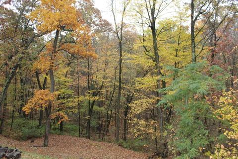 4606 Miriam Rd, Belding, MI 48809 photo 23