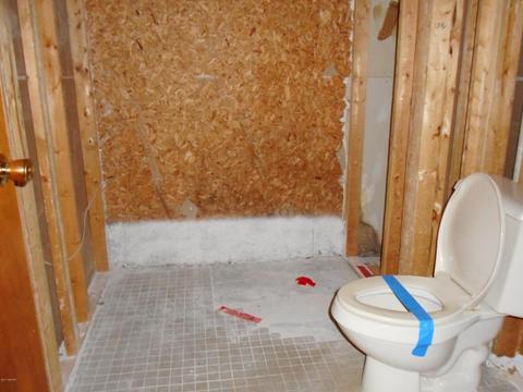83 Shaw Rd, Bailey, MI 49303 photo 16