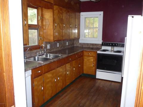226 Union St, Bronson, MI 49028 photo 2