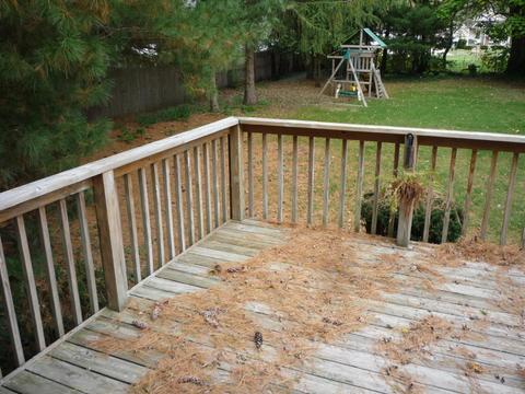 226 Union St, Bronson, MI 49028 photo 32