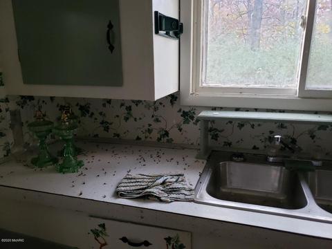 8298 E Johnson Rd, Walhalla, MI 49458 photo 4