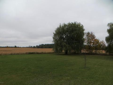 774 E Bricker Rd, Fenwick, MI 48834 photo 9