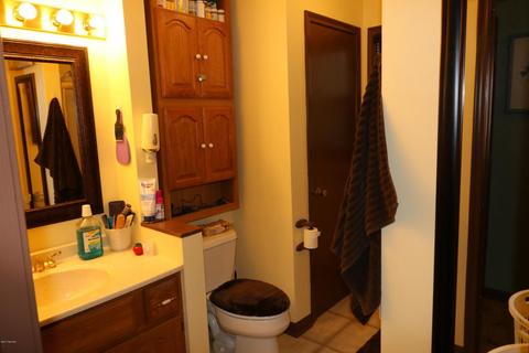 55720 68th Ave, Lawrence, MI 49064 photo 11