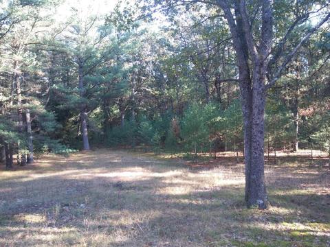 4130 40th, Newaygo, MI 49337 photo 18