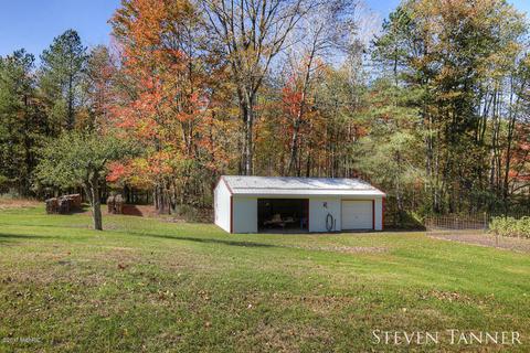 299 E Pakes Rd, Stanton, MI 48888 photo 27
