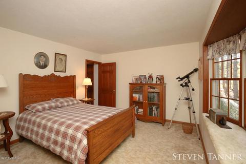 299 E Pakes Rd, Stanton, MI 48888 photo 17