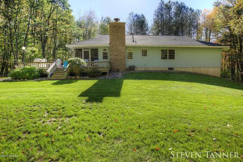 299 E Pakes Rd, Stanton, MI 48888 photo 22