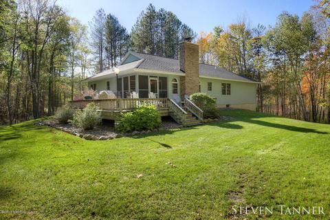299 E Pakes Rd, Stanton, MI 48888 photo 23
