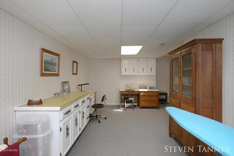 299 E Pakes Rd, Stanton, MI 48888 photo 20